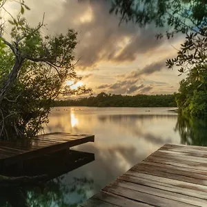 Yaxchen Eco Lodge&cenote Tulum